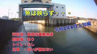 姫路市　妻鹿漁港　魚は映らず・・・・　潮干狩り場のすぐ横ですよ！　令和3年6月中旬