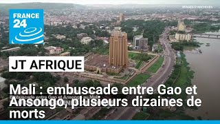 Embuscade entre Gao et Ansongo au Mali, plusieurs dizaines de morts • FRANCE 24