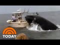 Watch: Whale capsizes boat, sending 2 fishermen into the water