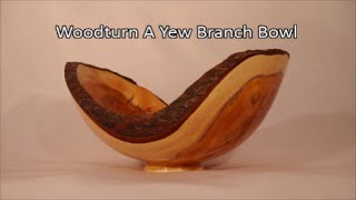 33#Woodturning A Yew Branch Bowl