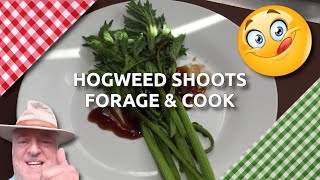 Common Hogweed Shoots | Forage and Cook | Delicious Wild Food 😋