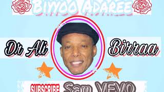 Dr Ali Birraa - Biyyoo Adaree - Oromo Music