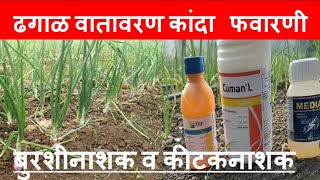 Kanda Favarani Niyojan? ढगाळ वातावरणात कांद्याची फवारणी कशी करावी?Onion Spray in Rainy-cloud season!