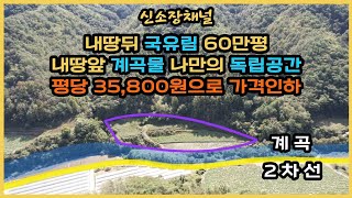 ((평당 35,800원으로 가격인하))(552번)#내땅뒤국유림 내땅앞맑은계곡땅 나만의 독립된토지#경북땅매매#영양땅매매#의성땅매매#귀농귀촌#자연인땅#시골땅#오지땅#촌땅#농막#토지매매