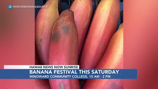 Here’s your chance to eat bright red bananas in Kaneohe