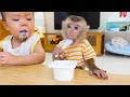 Pupu monkey eating yogurt looks delicious and funny