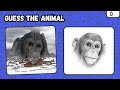 Guess the Hidden Animals by ILLUSIONS | Optical Illusion Hard Quiz
