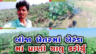 બીજા ખેતરમાં એરંડા માં પાણી ચાલુ કરીર્યું Desi Village video vlog gujarati village vlog farming vlog