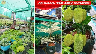 😀 ഒന്നര ഏക്കറിൽ മനോഹരമായ പൂന്തോട്ടവും Exotic Fruit Garden നും #exoticfruitplant #gardening