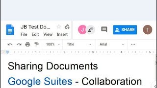Google Docs Collaboration 1.1 Sharing Settings