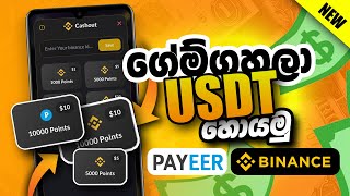 ගේම් ගහලා Binance USDT Payeer USD හොයමු eMoney sinhala