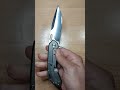 Olamic wayfarer 247 titanium M390