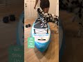 How to train your dog to paddleboard!