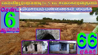 வள்ளியூர்பரப்பாடி To 5km சவலகாரன்குளம் 66  ஏக்கர் விவசாயநிலம்.சென்ட் 6 . ஆயிரம்.EBப்ரீ-562-021.09.05