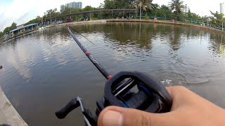 MANCING DI KOLAM AIR MASIN. KOLAM PANCING NASIR #fishing #angler #casting #shimano