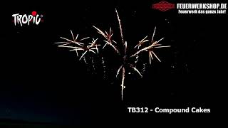 Feuerwerk Verbundbatterie - F3 Pyrotechnik - TB312 von Tropic