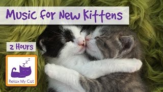 2 HOURS of Music for Pregnant Cats and the Newest of Kittens! Relax My Cat Music. 🐱 #PREGNANT03