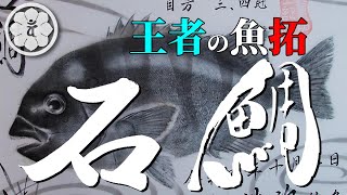 【釣り人必見！】磯の王者石鯛の美麗魚拓作成動画！