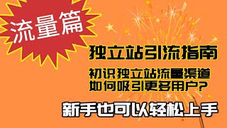 流量篇: 独立站引流指南 初识独立站流量渠道: 如何吸引更多用户? (案例分析)