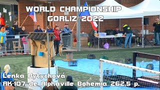 Mondioring world championship 2022 Gorliz