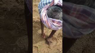 farmer #song #music #folk #youtubeshorts #shortvideo #ytshorts_ #trending #farming #telugu