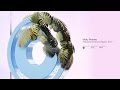 Funkybeat - Ocean Drive // OUT NOW