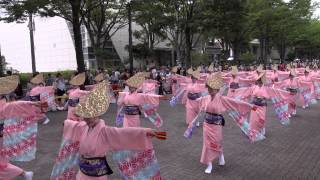 俵屋グループ（スーパーよさこい2013）NHK前ストリート