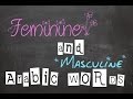 Feminine and Masculine Words in Arabic | Arabic Grammar