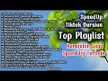 Playlist Speedup - Tiktok Version Lagu terbaik