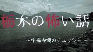 【栃木の怖い話】中禅寺湖のチュッシー