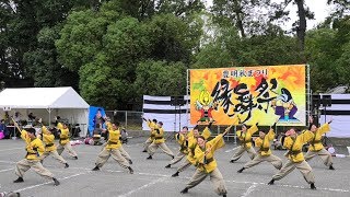 「江南よさこい連～kohga～」豊明秋まつり2019 縁舞祭【午後】