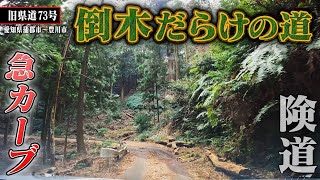 険道走ってみたら・・・【旧県道73号】Part 2