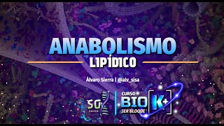 Repaso Bio[K+] B3 by Sox Día 2: Anabólismo de lípidos