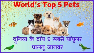 World’s Top 5 Pets | दुनिया के टॉप 5 सबसे पॉपुलर पालतू जानवर #pets