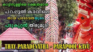 പറപ്പൂൽ കാവിലെ തിരുമുടി കണ്ടിട്ടുണ്ടോ 🥰  Parapool Kavu Thay Paradevatha theyyam  #art #theyyam