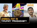 Do Tirupati Temple Laddus Contain Fish Oil, Beef Tallow? | What Does The Lab Report Say? | Details