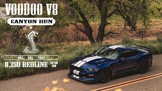 Ford GT350R Canyon Run - Magnificent Voodoo V8 Exhaust Note