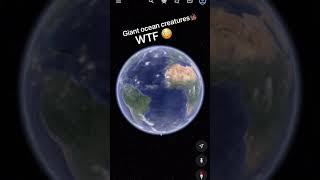 #438 so weird 😱, sea creature 🪸 in Google earth and Google maps #shorts #creature