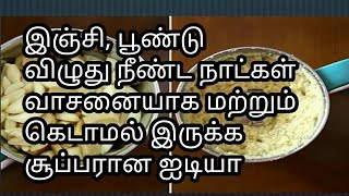 இஞ்சி பூண்டு விழுது நீண்ட நாட்கள் வாசனையாக மற்றும் கெடாமல் இருக்க சூப்பரான ஐடியா|how to store ginger