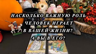 Насколько важную роль человек играет в вашей жизни? А вы в его?