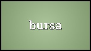 Bursa Meaning