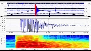 October 4th: Yellowstone Volcano Earthquakes with In-Depth Seismic Analysis -- More to come soon?