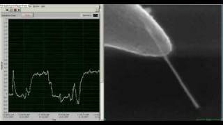 Contact detection between a CNT and an STM tip