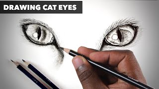 Cat Eyes -  How To Draw  - Realistic Cat Eyes Drawing - Step By Step