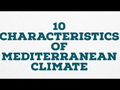 Which one is not a features of Mediterranean forest?
