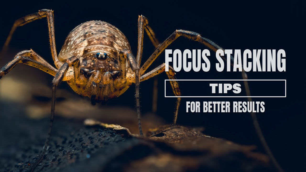 Focus Stacking Tips For Better Results | Macro Photography - YouTube