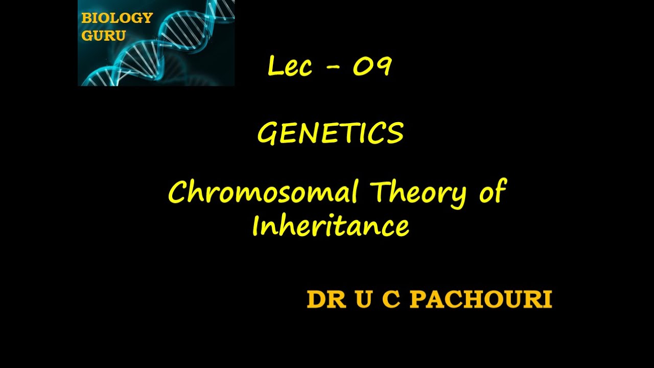 Lec - 9| Chromosomal Theory Of Inheritance |Genetics| Class 12 | Target ...