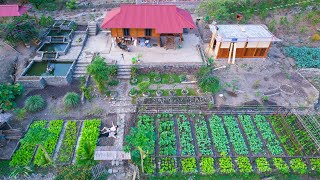 3 Years Of Living Off The Grid! Clean Vegetable Farms and Sustainable Aquaculture | Harvesting, Cook