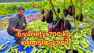 6 variety, 700 kg  ഞെട്ടിപ്പോയി