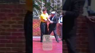 Weng Chun Kung Fu - GM Wai Yan teaches Andreas Hoffmann in Long pole